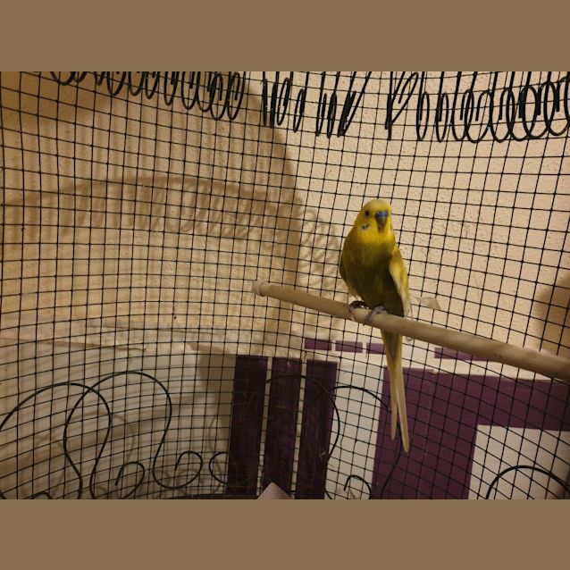 Photo of Alan A Dale