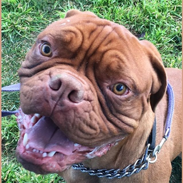 Photo of Major