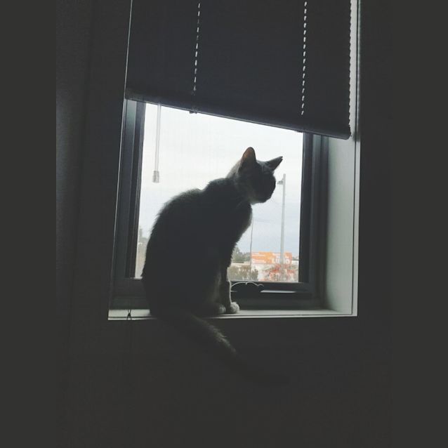 Photo of Dexter   Meet Me At Neko Hq In Preston