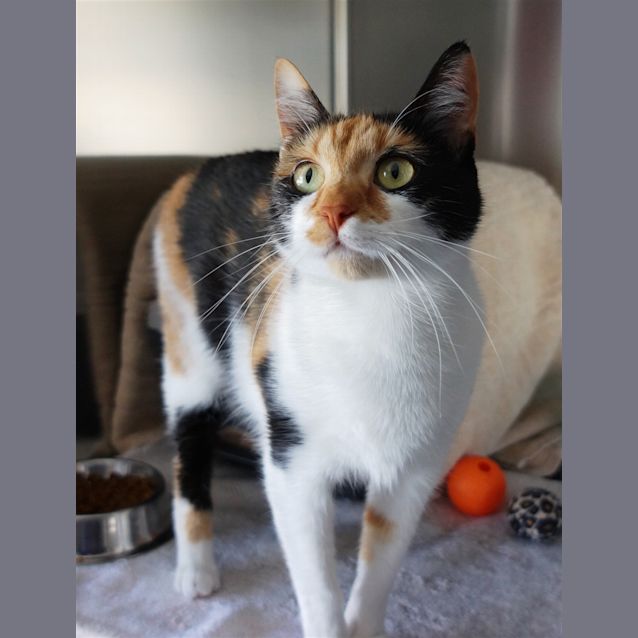 Photo of Lala