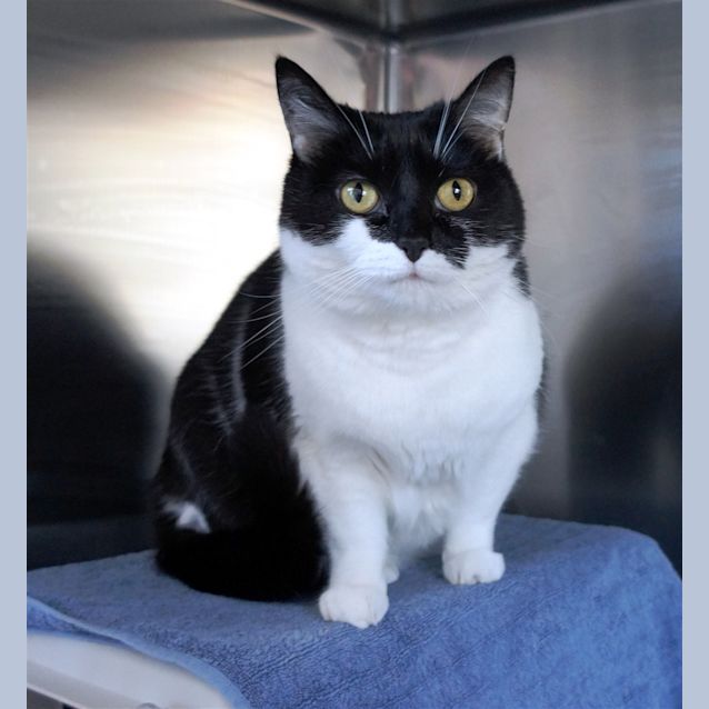 Photo of Rosie