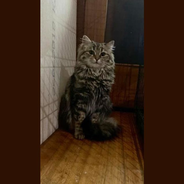 Photo of Lucy