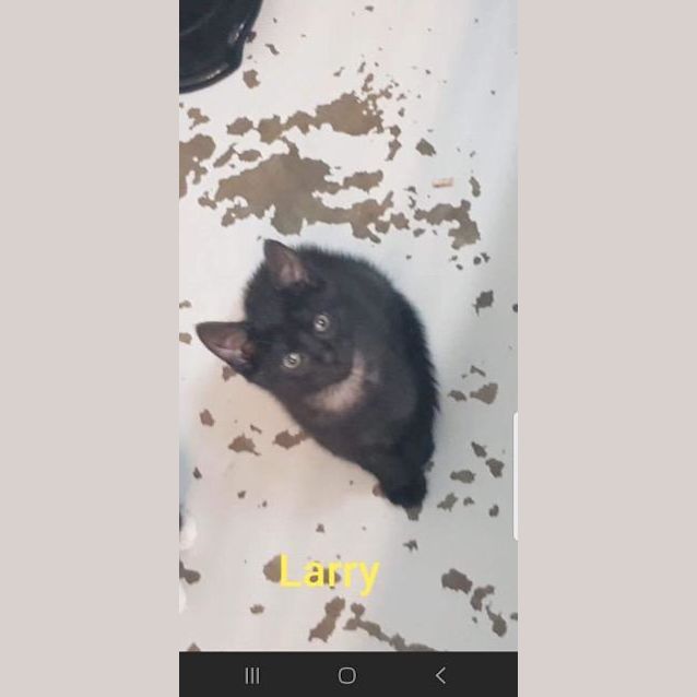 Photo of Larry