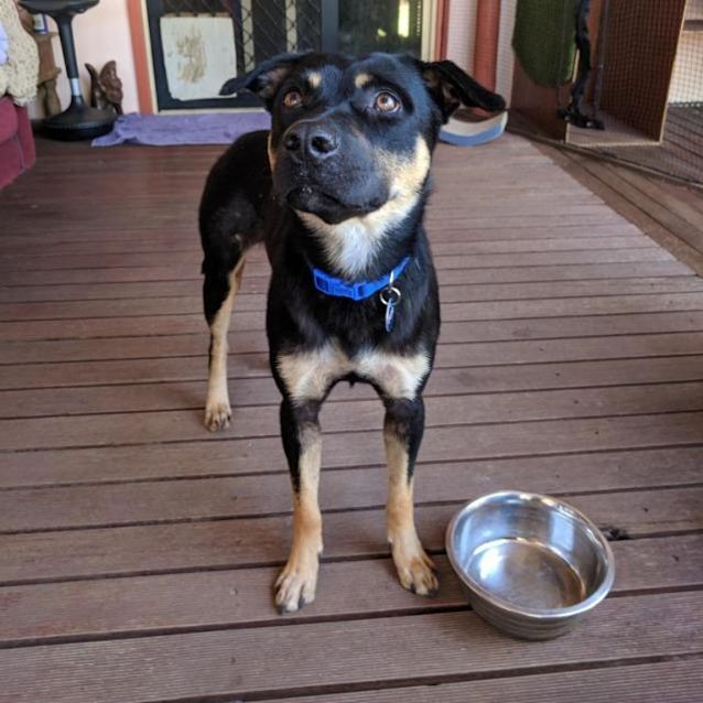Photo of Argo