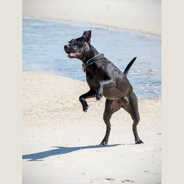 Photo of Xena
