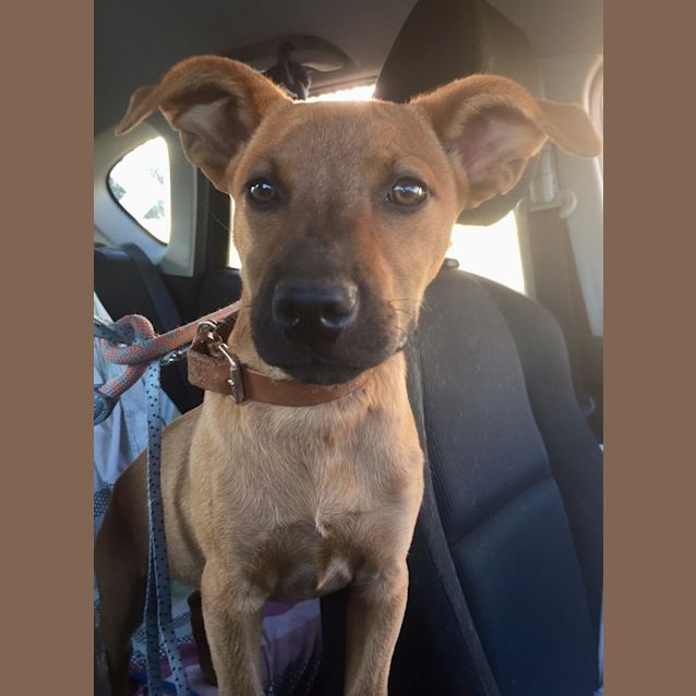 Photo of Bonnie And Clyde