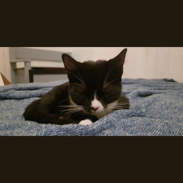 Photo of Charles & Lola