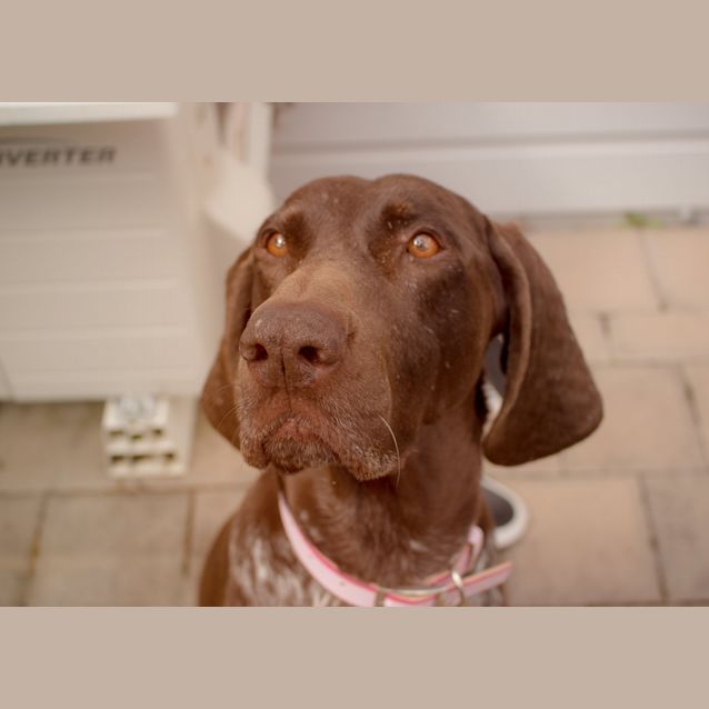 Photo of Regina D0083