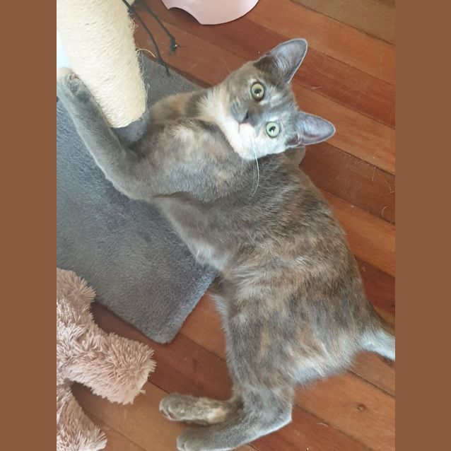 Photo of Meg