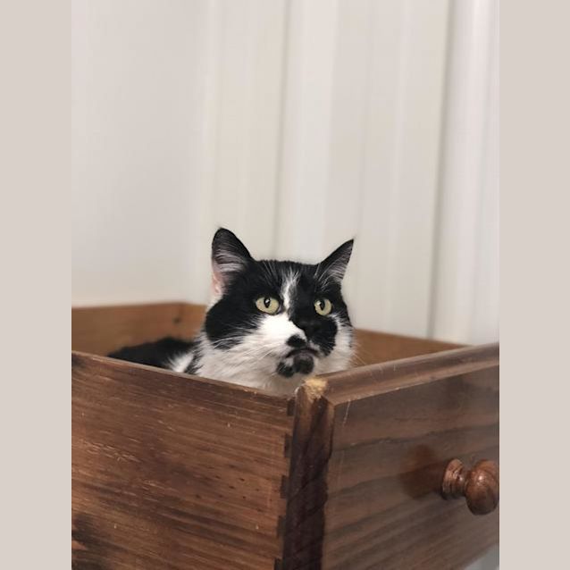 Photo of Xena