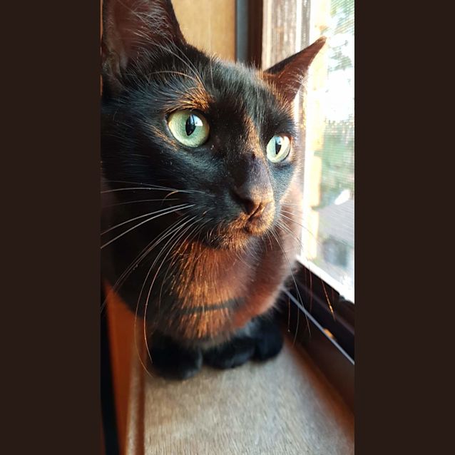 Photo of Lulu