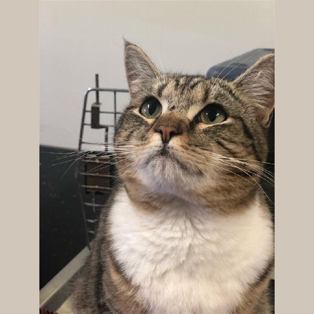 Photo of Finn