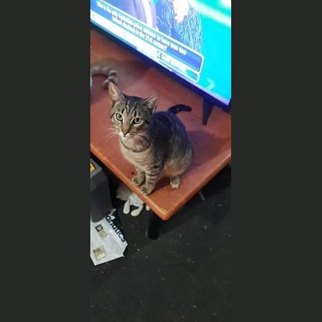 Photo of Chase