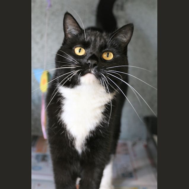 Photo of Sugar