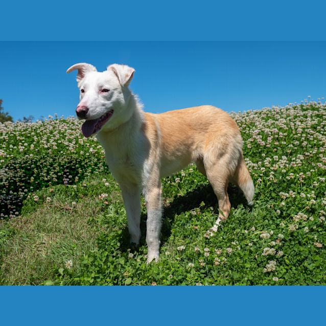 Photo of Winston