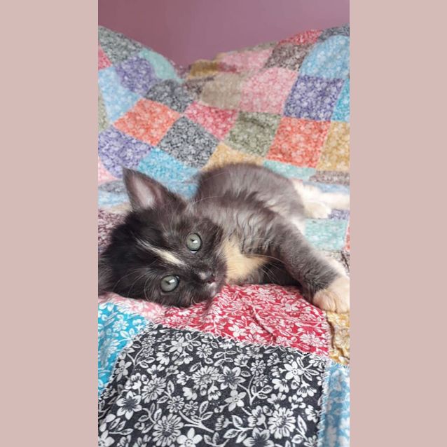 Photo of Iroh 
