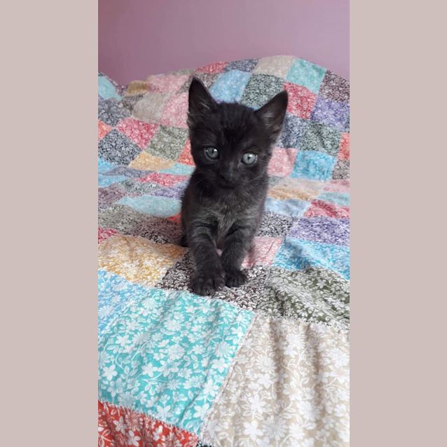 Photo of Zuko 