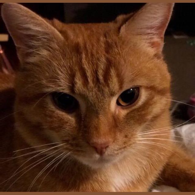 Photo of Harry