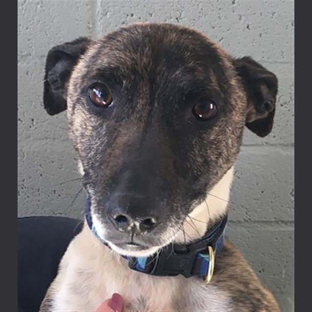 Photo of Cash