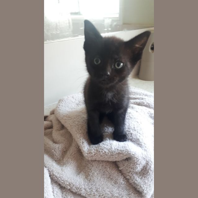 Photo of Jazz