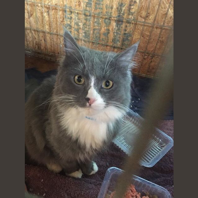 Photo of Monty