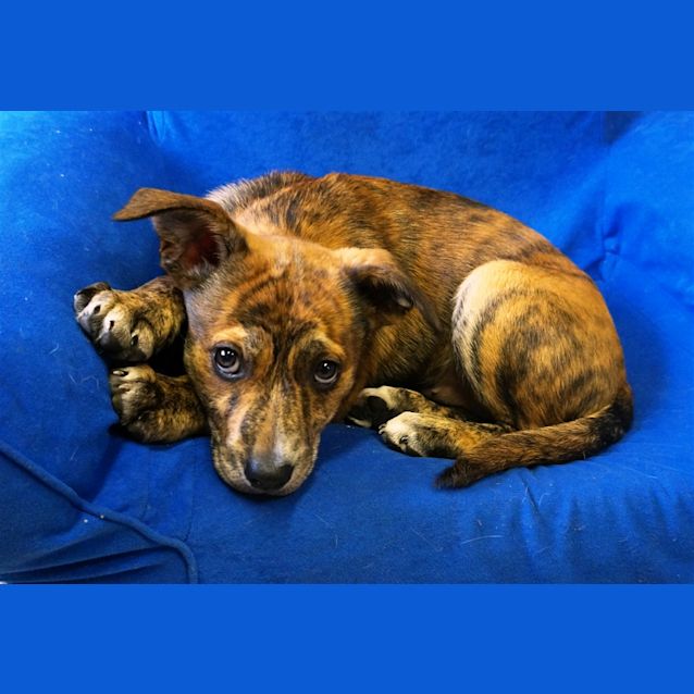 Photo of Molly