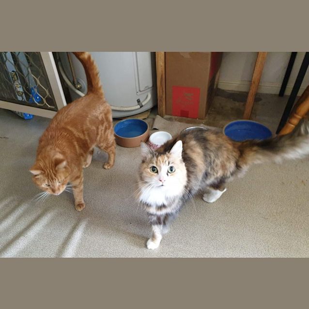 Photo of Archie & Saffy