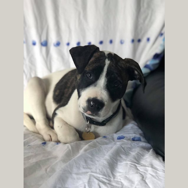 Photo of Rev