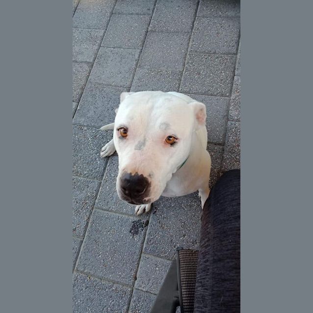 Photo of Missy Dl2250