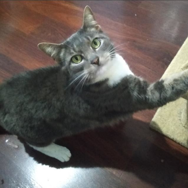 Photo of Penny