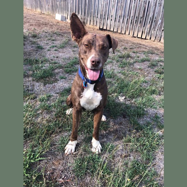 Photo of Lucy