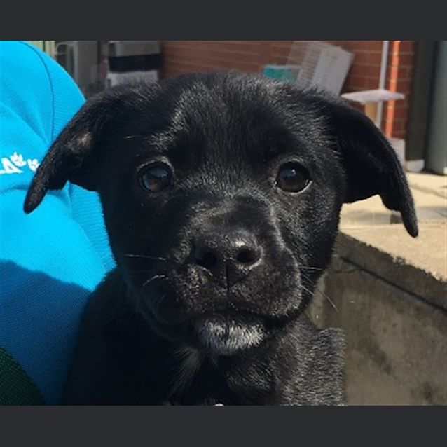 Photo of Rogue