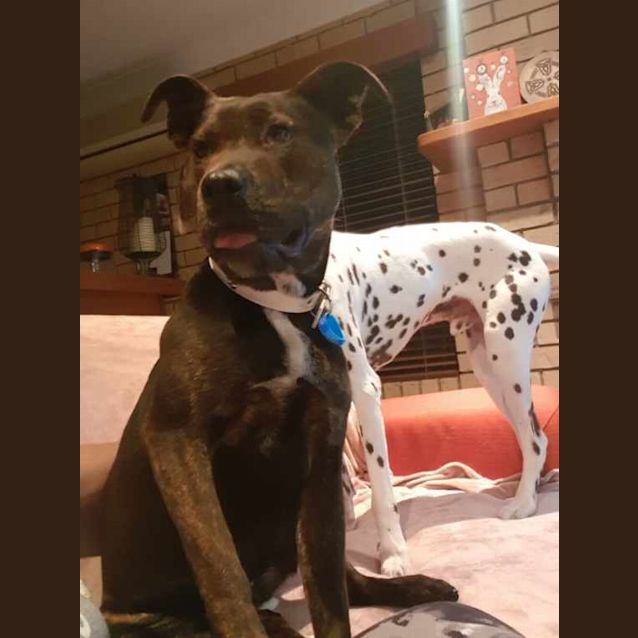 Photo of Clover 
