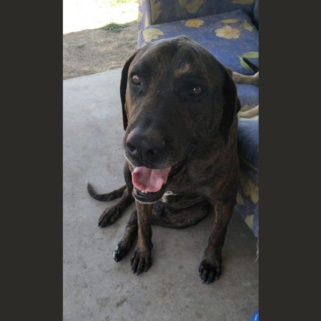 Photo of Milo 