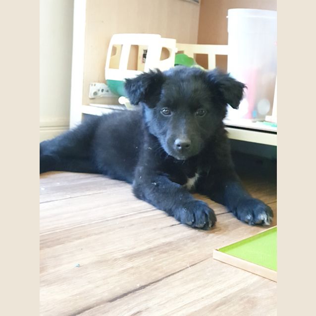 Photo of Zara 