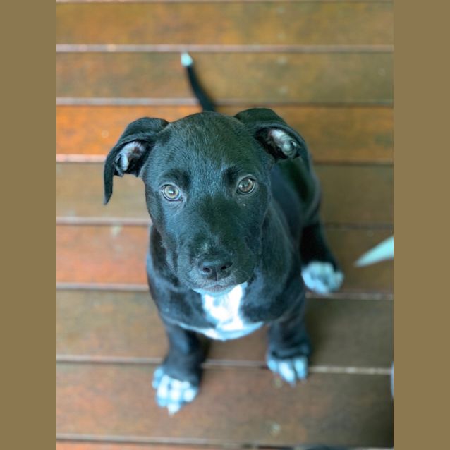 Photo of Ace ♠️️