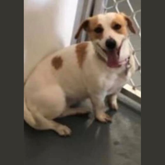 Photo of Layla Dl2267