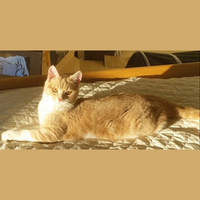 Photo of Marion