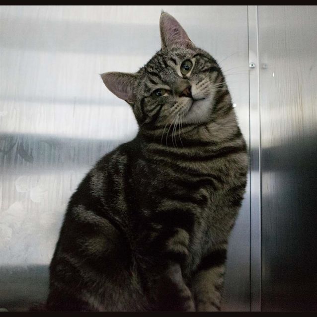 Photo of Walter