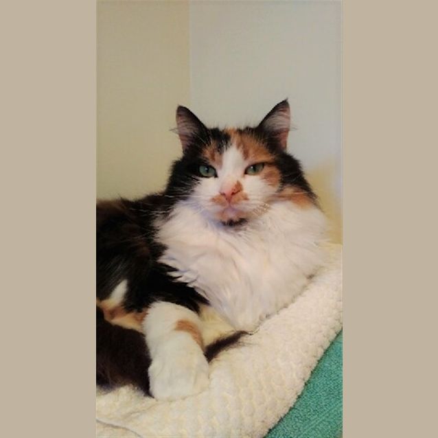 Photo of Holly