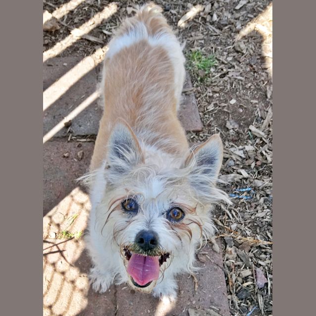 Photo of Nellie