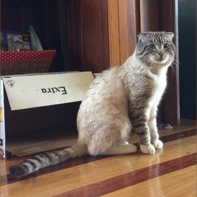 Photo of Monty