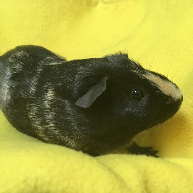 Photo of Marge
