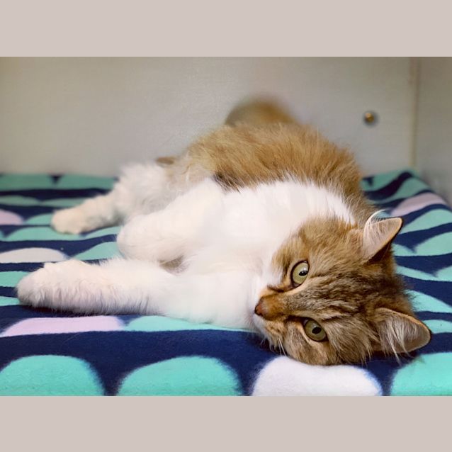Photo of Molly