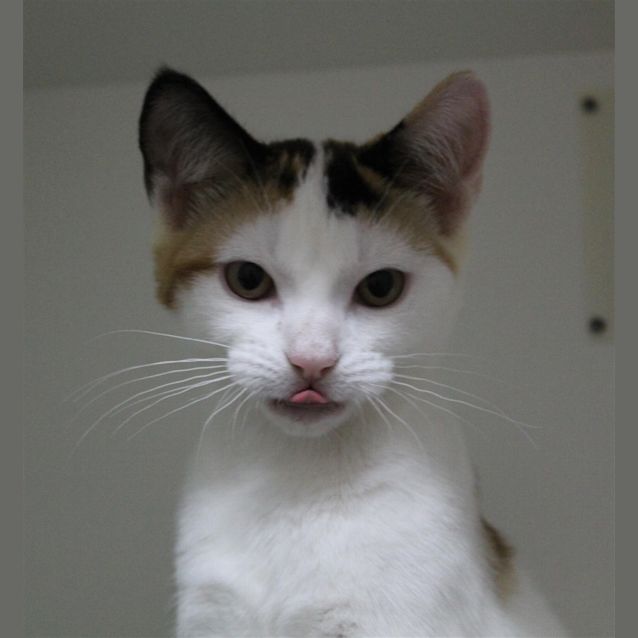 Photo of Louise