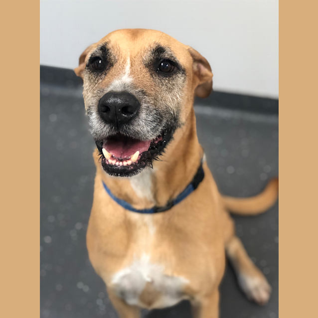 Photo of Murphy