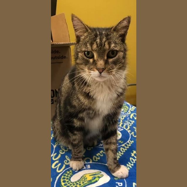 Photo of Pepperoni