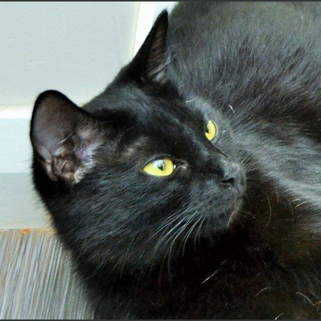 Photo of Gretchen