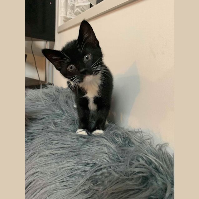 Photo of Swizzle