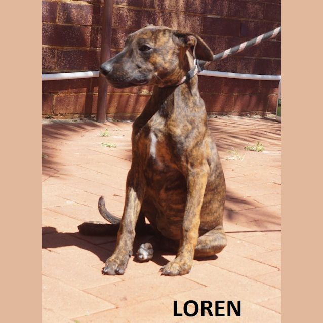 Photo of Loren